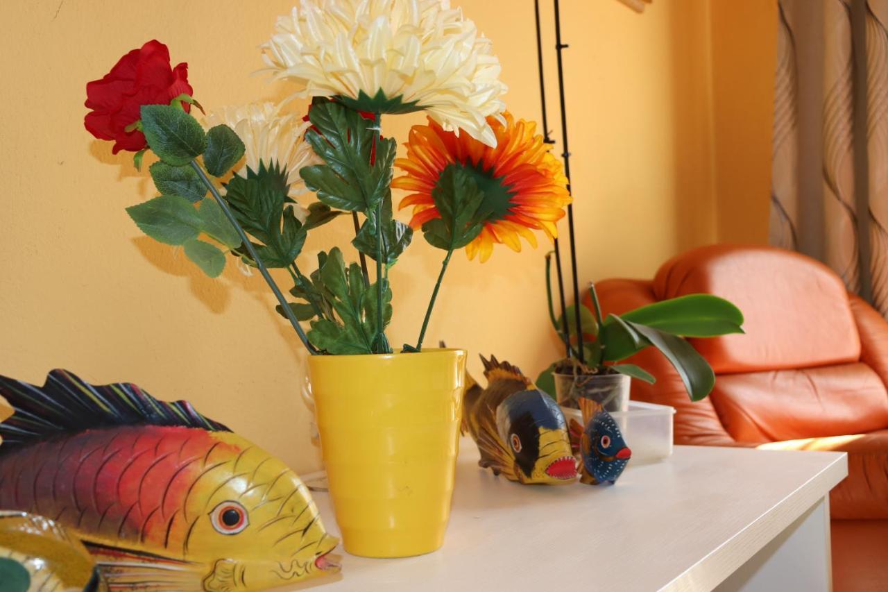 Ferienwohnung Casa Andreea Vicino Al Centro Di Olbia Iun R5904 Exterior foto